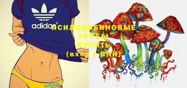 герыч Новозыбков