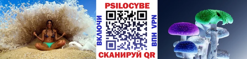 Псилоцибиновые грибы мицелий  blacksprut ссылки  Приморск 